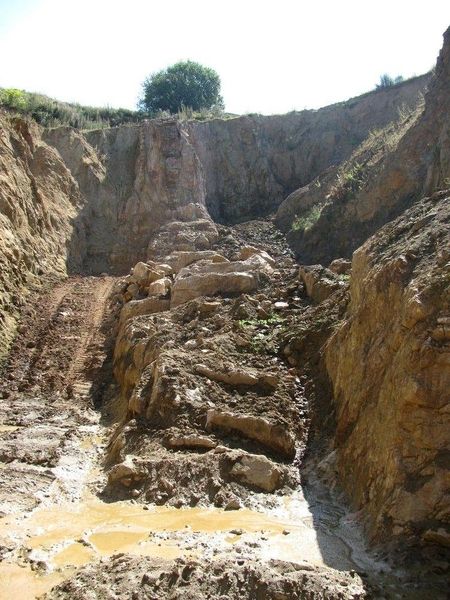 Rosenquarz - Steinbruch im Odenwald