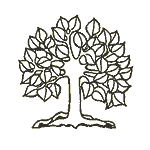 Baum