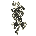 Efeu